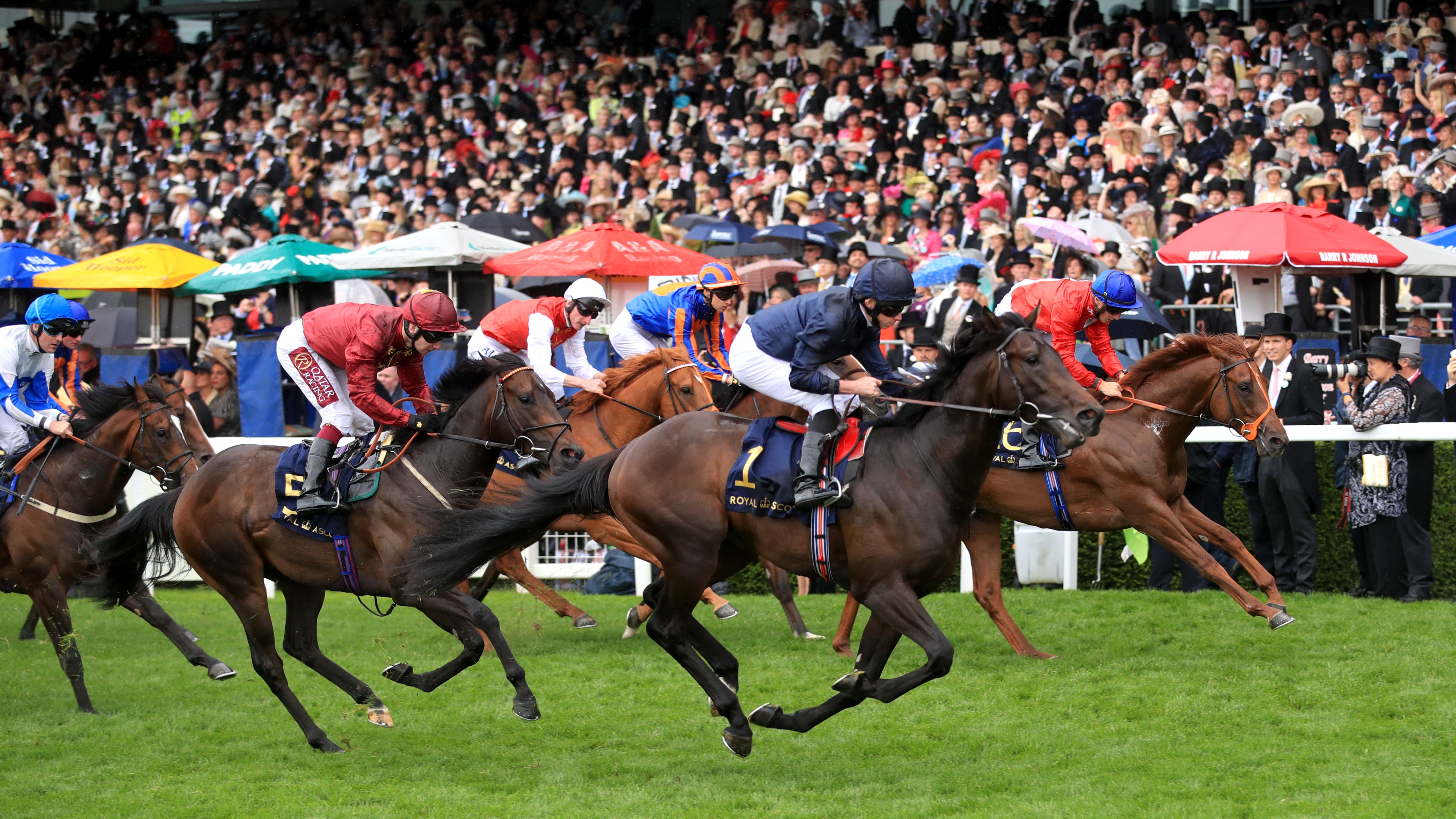 july stakes betting july stakes betting