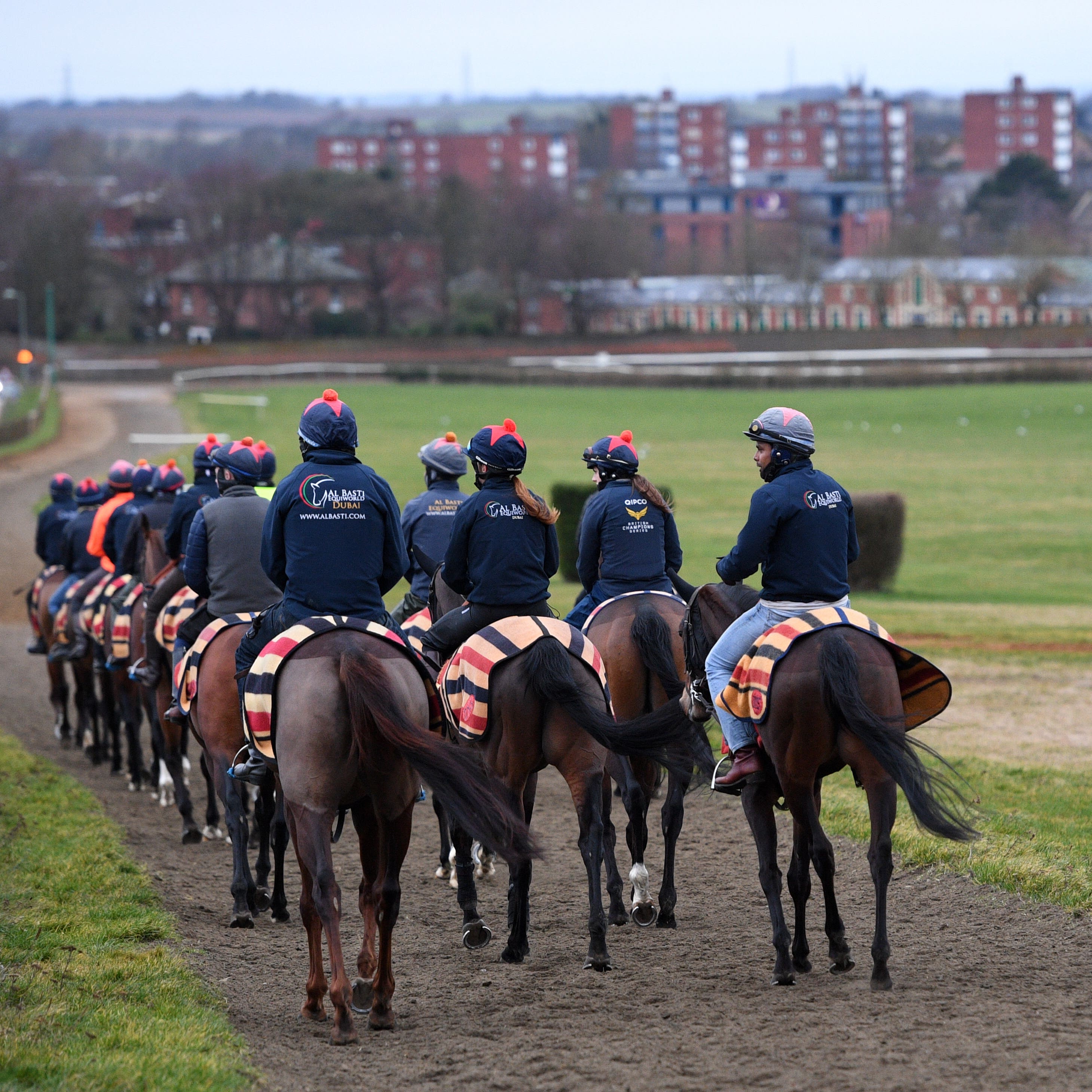 Racehorses in Newmarket