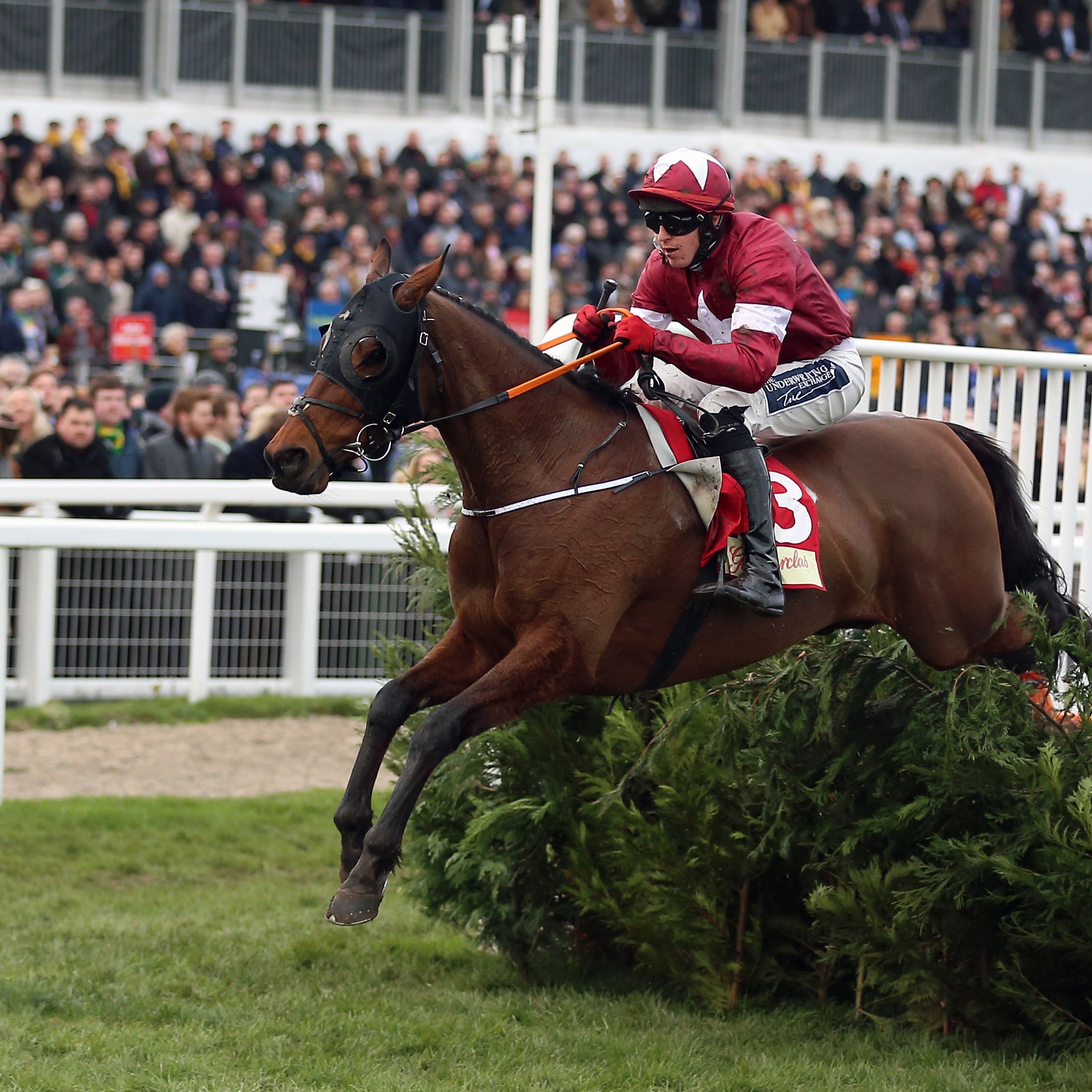 Tiger Roll won the Glenfarclas Chase at Cheltenham last week, for the second year running, by 22 lengths