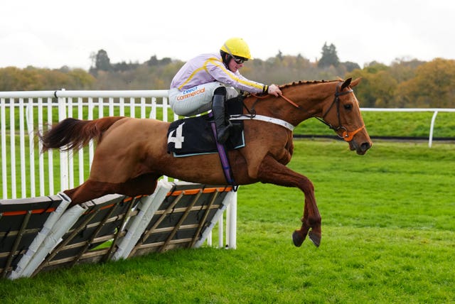 Luccia on her hurdling debut