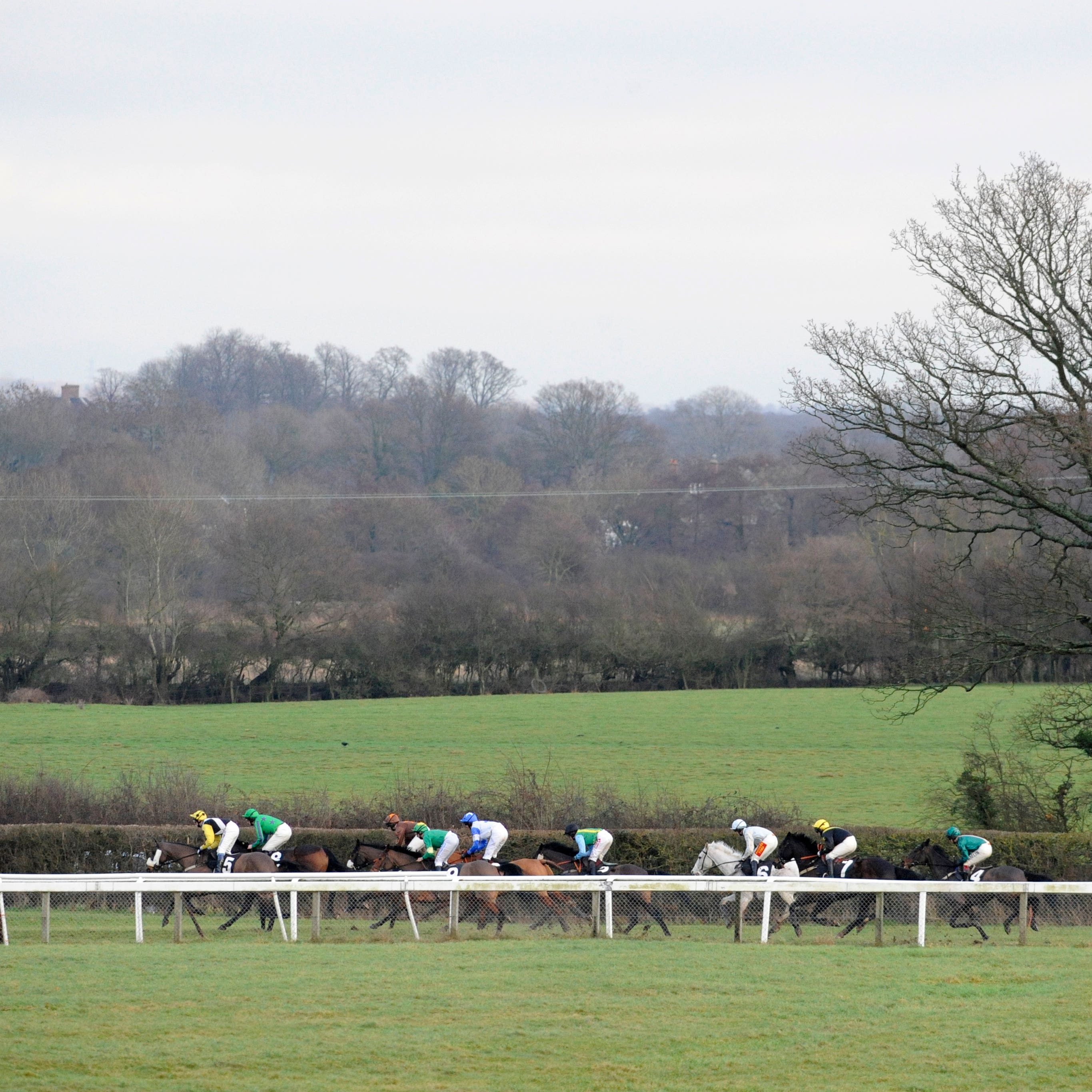 Plumpton staged the Sussex National, won in fine style by The Two Amigos