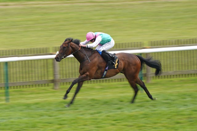 Prepense in the clear at Newmarket 