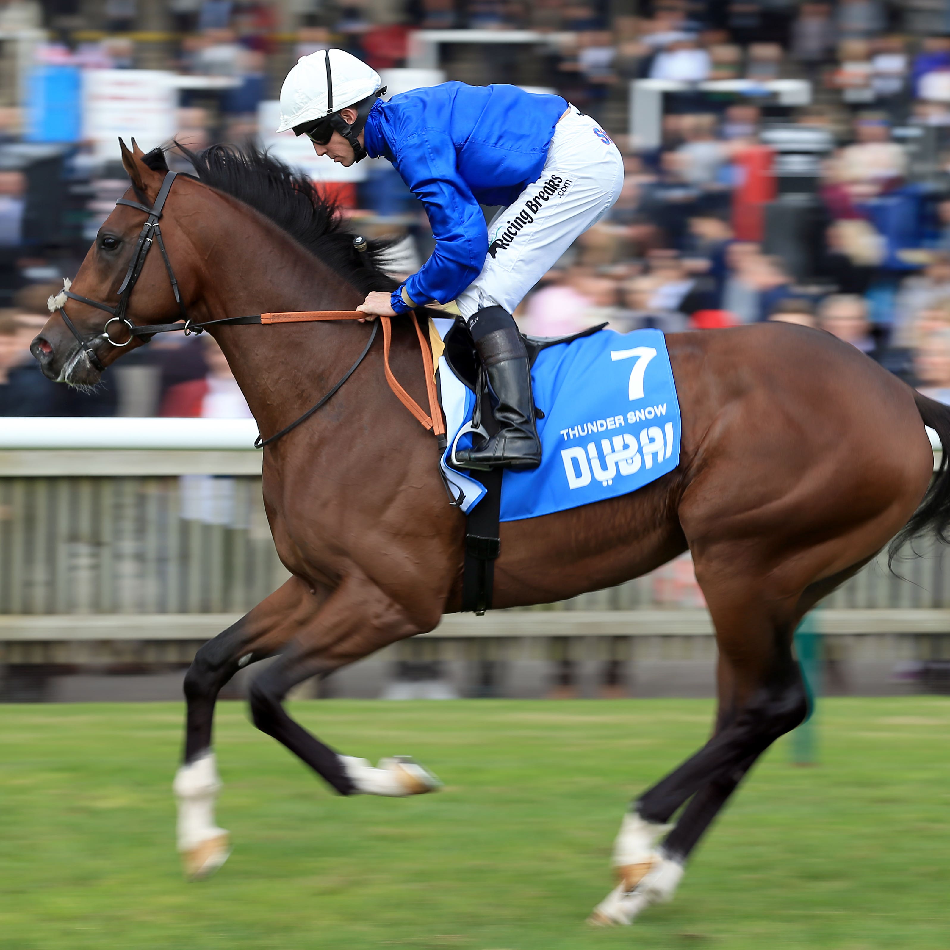 Thunder Snow will bid for back-to-back wins in the Dubai World Cup