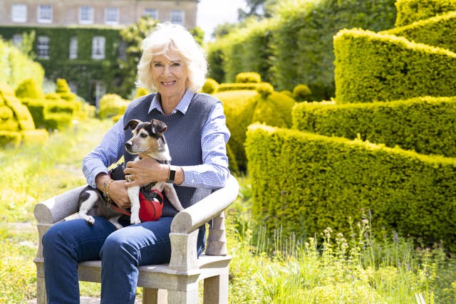 Camilla and her dog