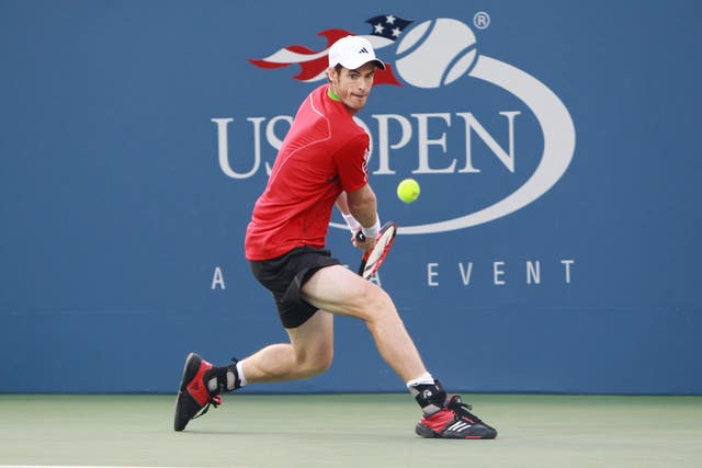 Murray enjoyed a fine run in New York but had to wait until 2012 to win the title