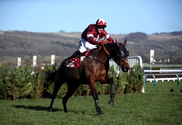 Tiger Roll in action at Cheltenham last year 