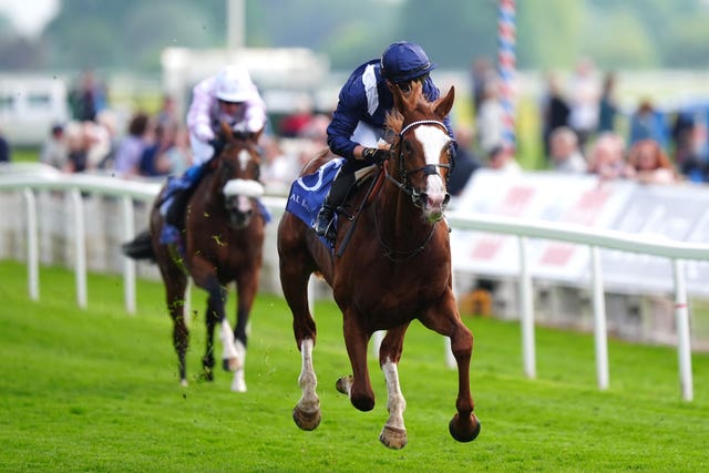 Economics was brilliant in winning the Dante Stakes at York