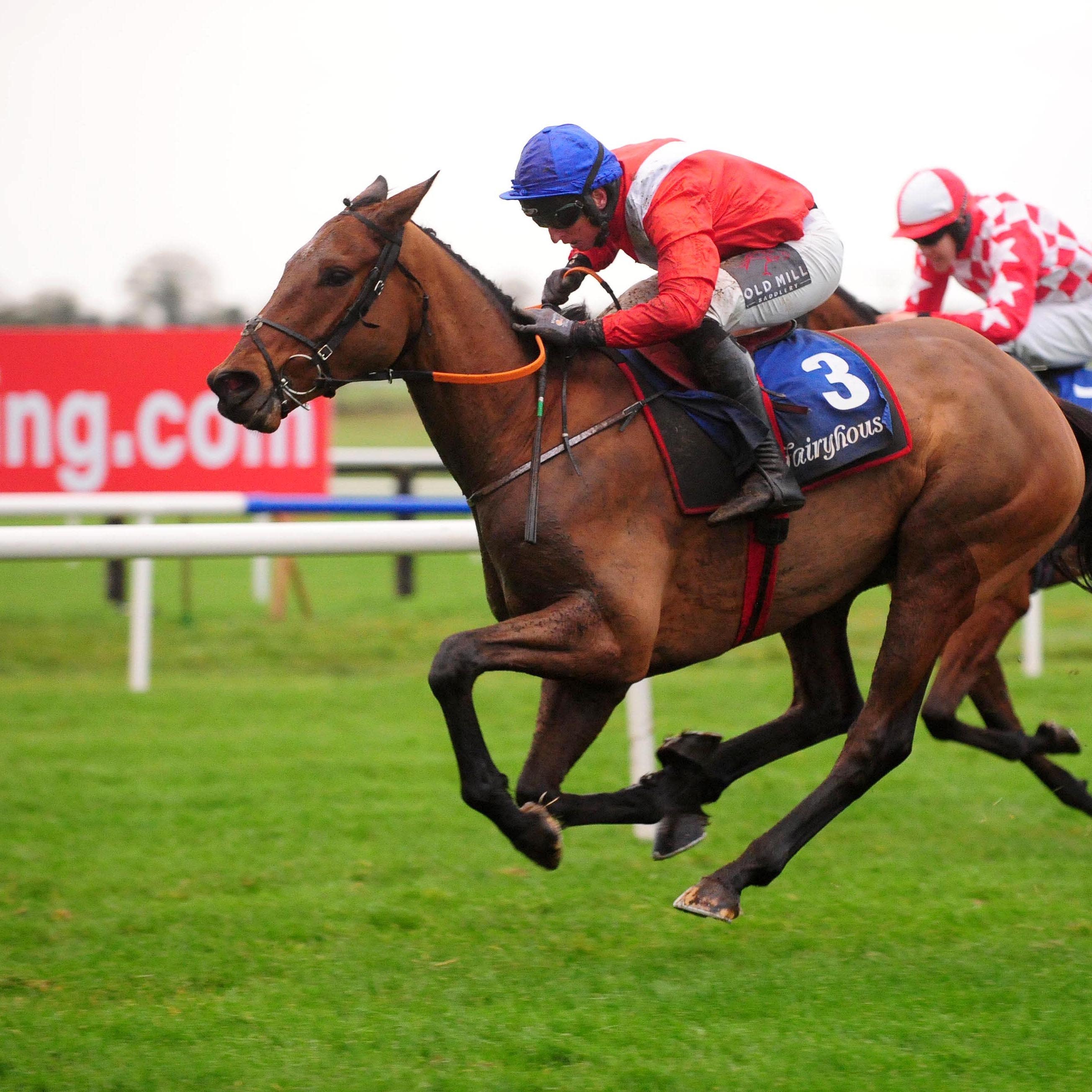 Envoi Allen is well fancied for the Champion Bumper at Cheltenham