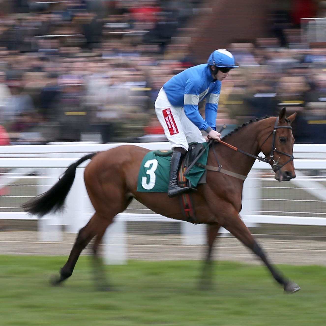 Mariaʼs Benefit made a winning chasing debut last week