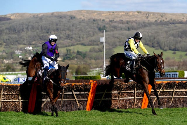 The Nice Guy and Minella Cocooner jump the final flight at Cheltenham