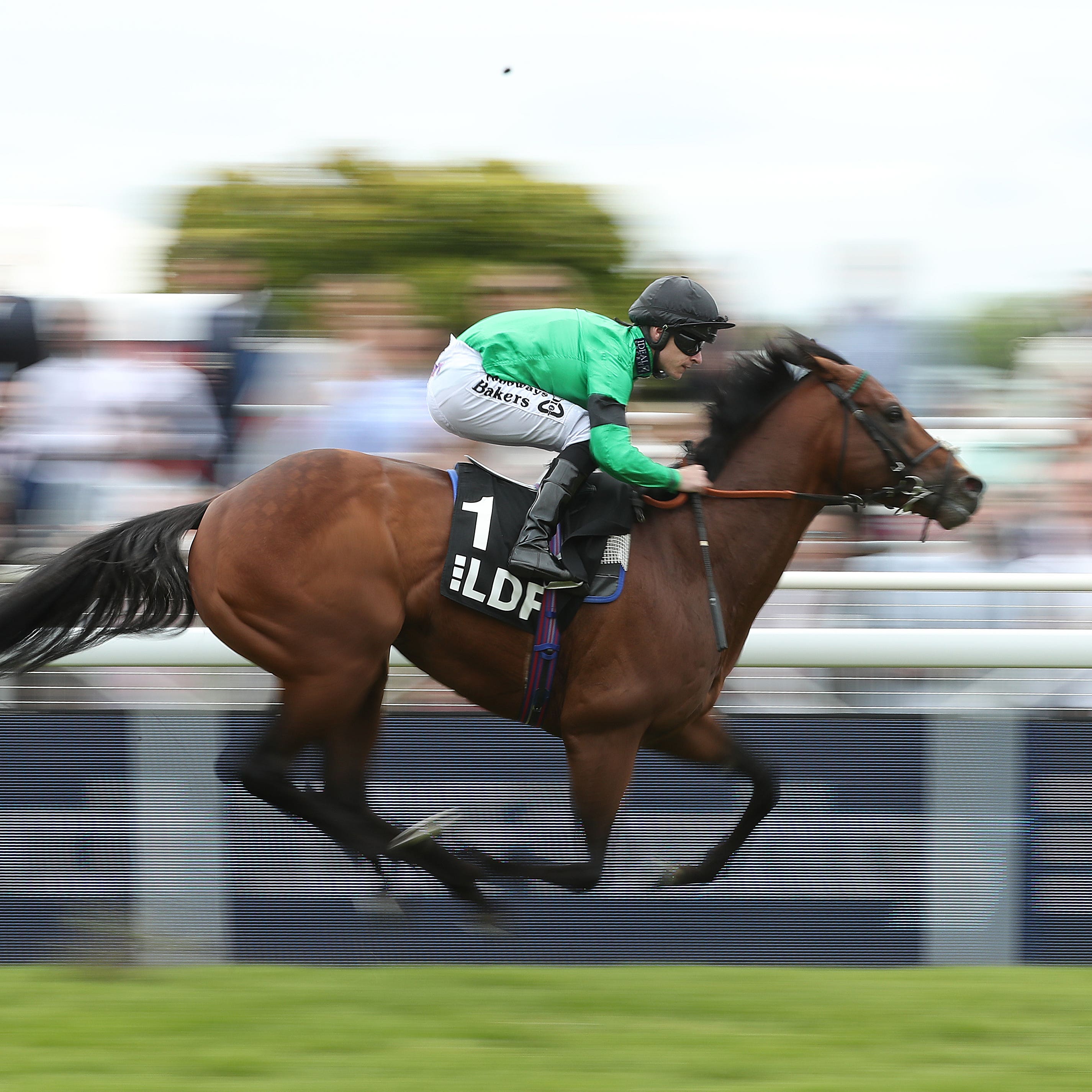 Tom Dascombe has his eyes on a big Lingfield prize with speedster Kachy