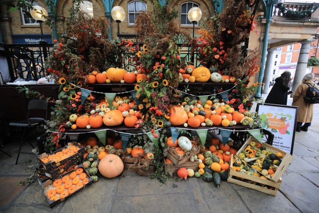 A pumpkin stall at the first ever pumpkin market at Covent Garden in London, with over 200 pumpkins and fourteen varieties of squashes and gourds available (Aaron Chown/PA)