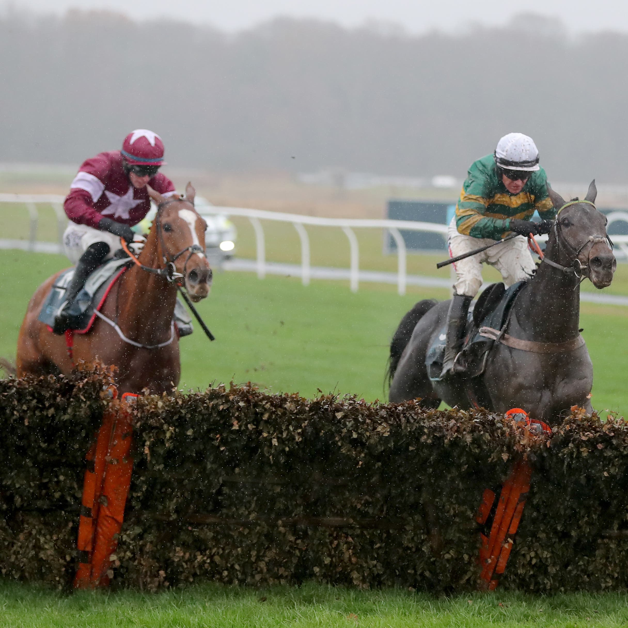 Samcro (left) had to give best to Buveur D'Air at Newcastle