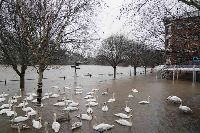Swans swim on flood water as river levels along the Severn rise following heavy rain in Worcester 