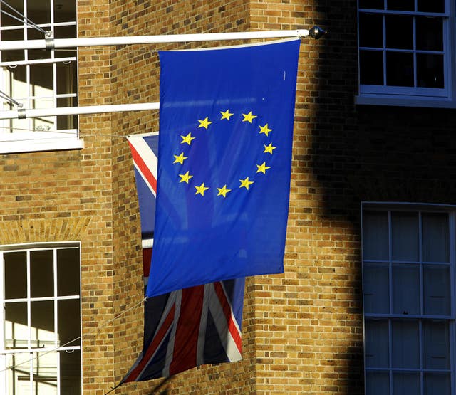 EU flag 