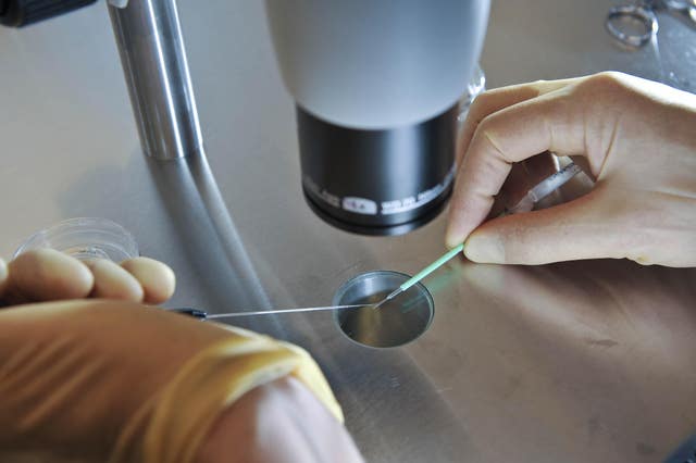 IVF technique.