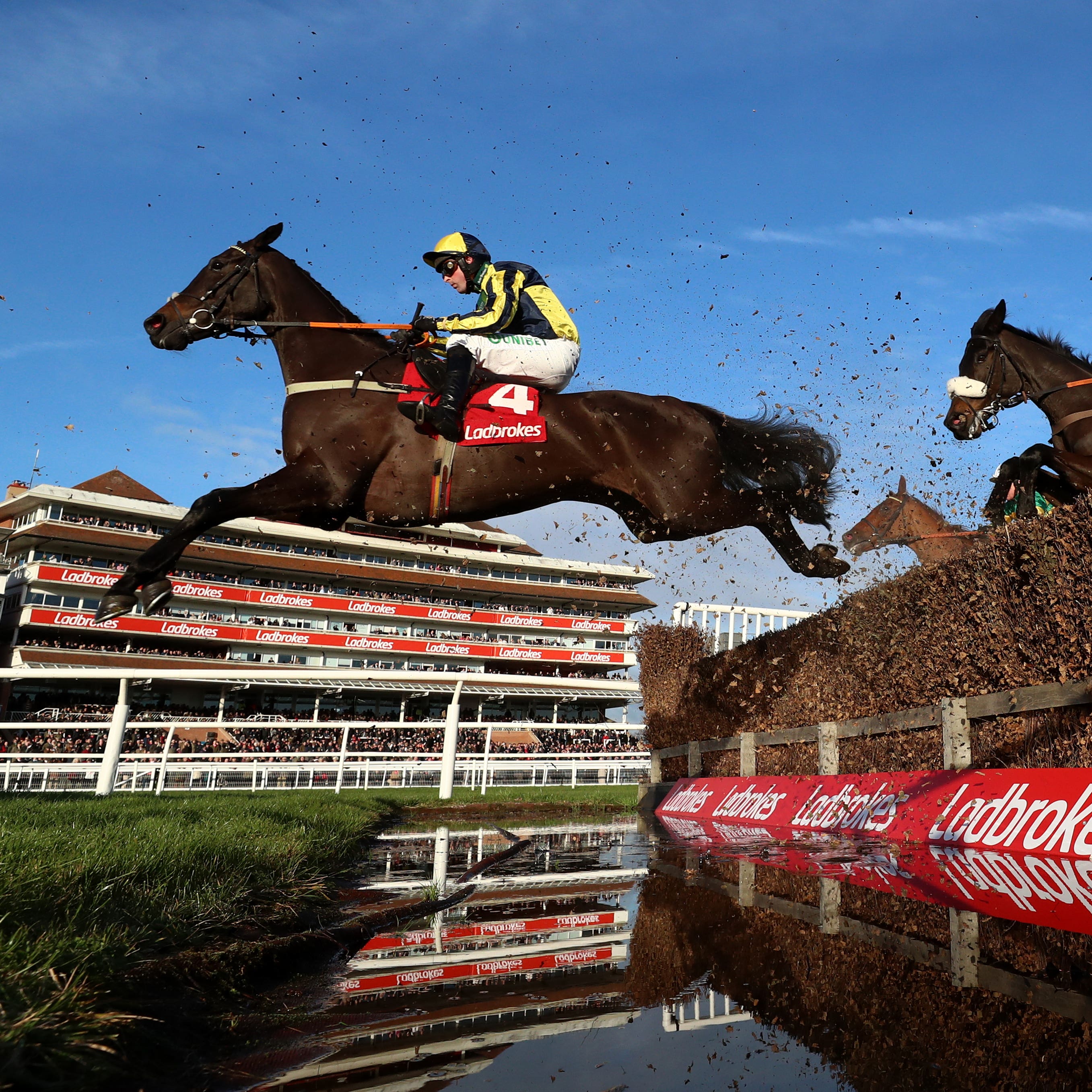 Willoughby Court could be aimed at the Ladbrokes Trophy at Newbury