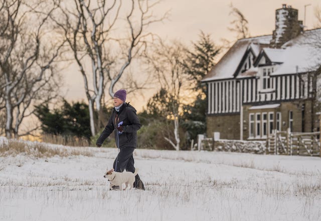 A woman walking her dog in the snow