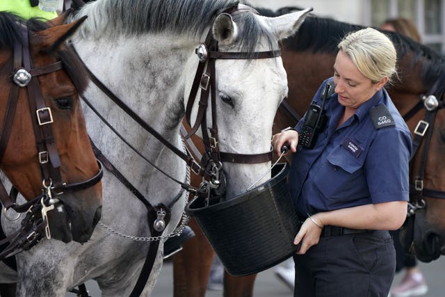 A police officer gives water to horse Verity on Whitehall in central London