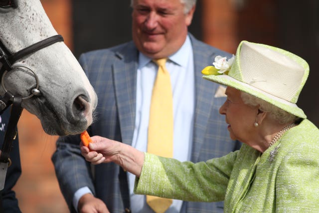 Racehorse Politologue was happy to receive a carrot from the royal visitor
