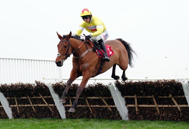 Kalif Du Berlais will be back in Hales' yellow and red at Sandown