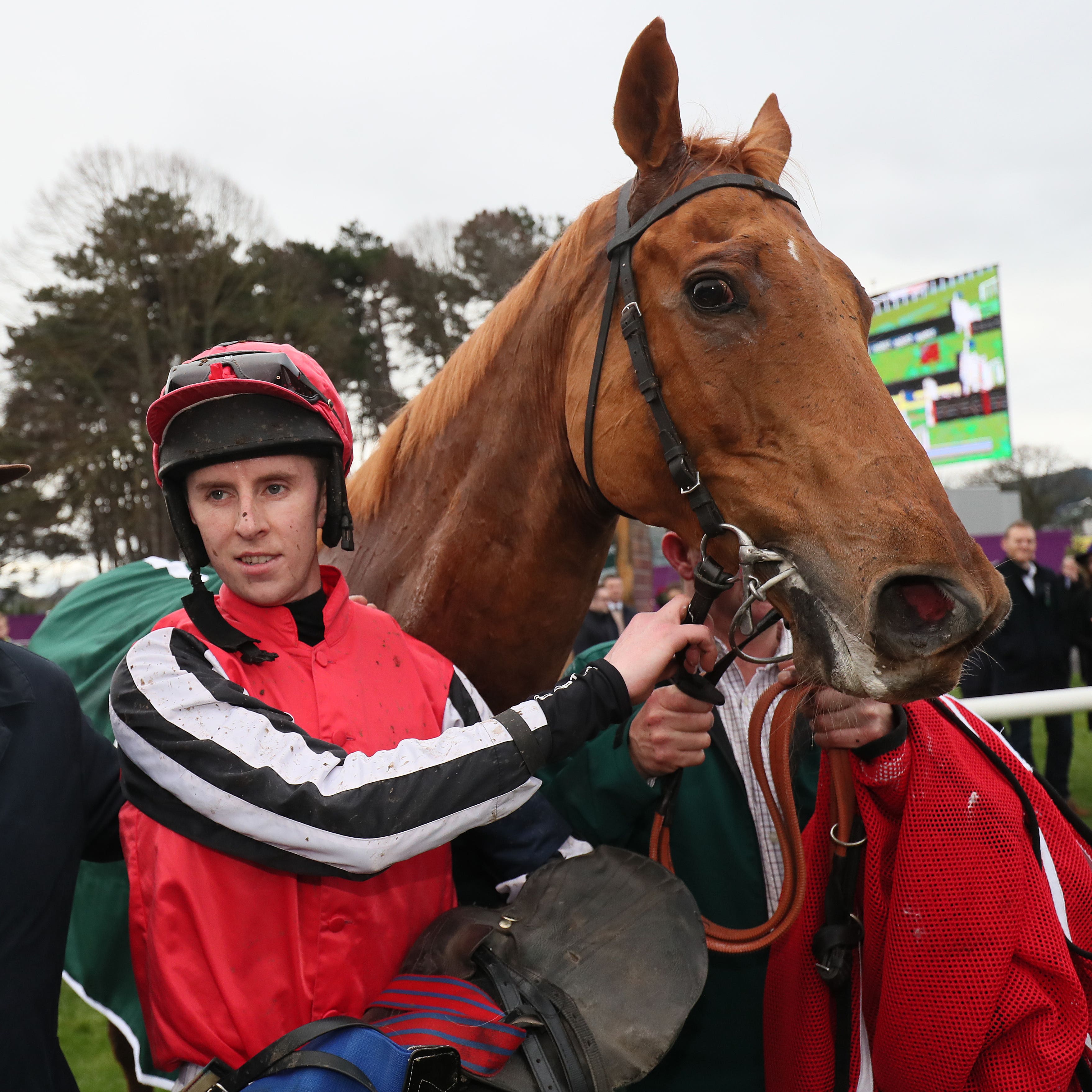 Simply Ned beat Footpad in Ireland