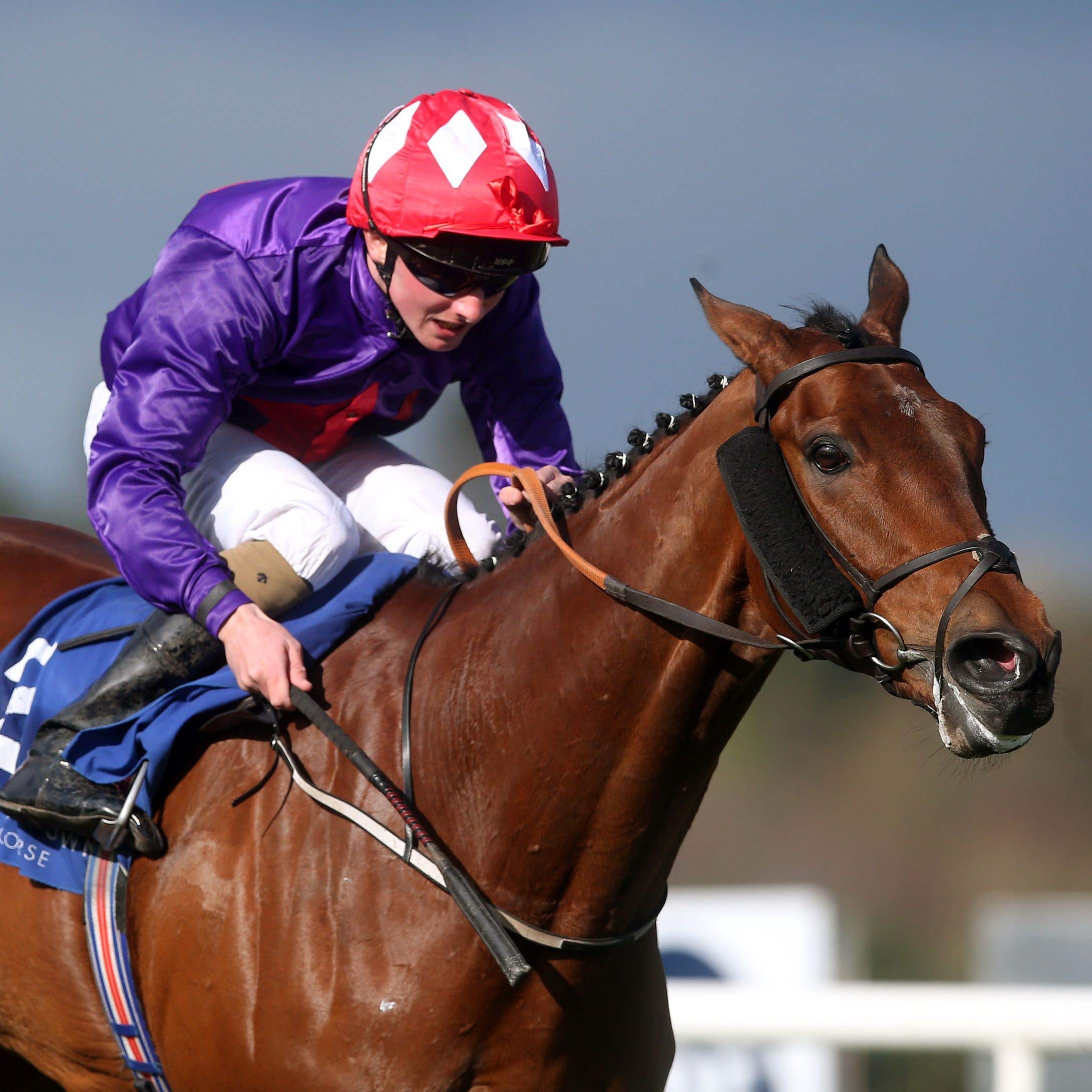 Aussie Valentine at Leopardstown