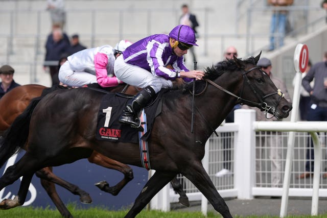 Albert Einstein is one of three runners for Aidan O'Brien