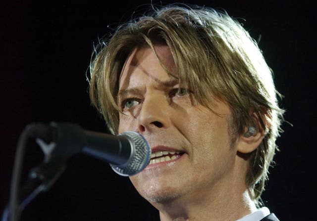 David Bowie concert