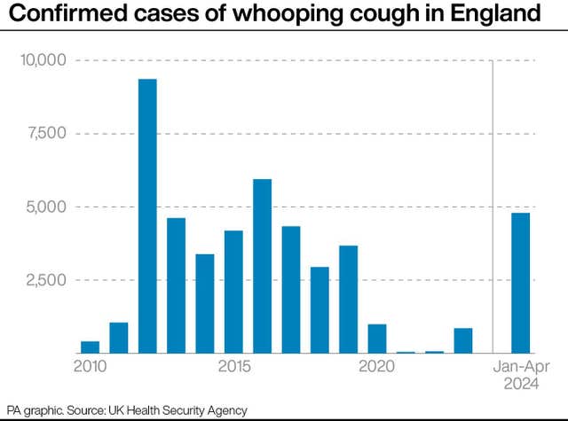 Confirmed cases of whooping cough in England with the final bar showing just under 5,000 cases in 2024 Source: PA Graphics