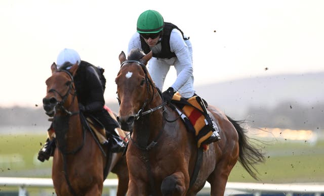 Luxembourg enjoyed a workout at the Curragh 