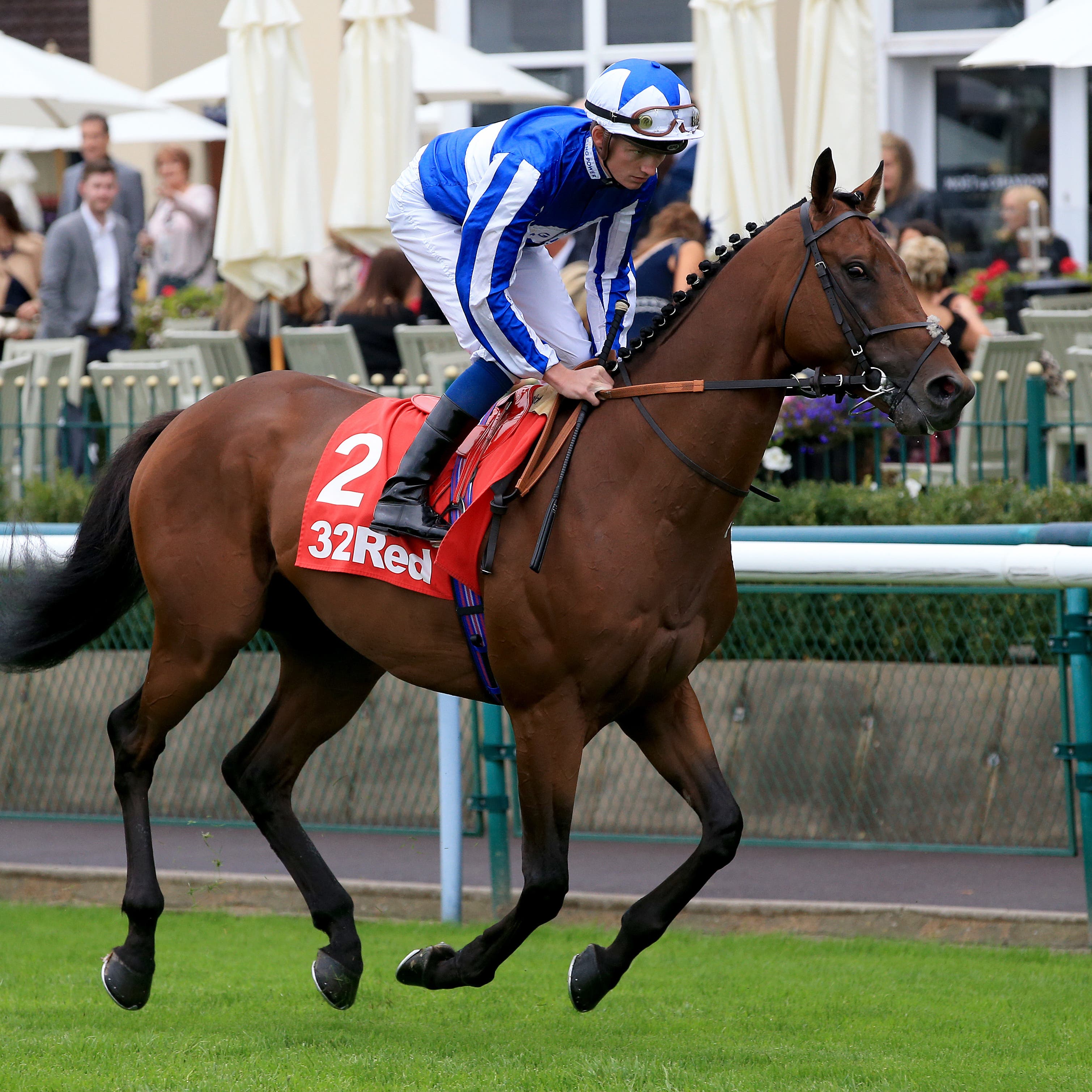 Donjuan Triumphant goes for glory at Doncaster