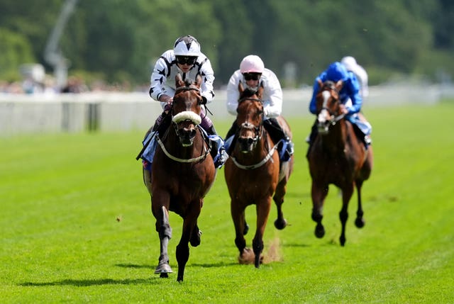 Al Qareem in action at York 