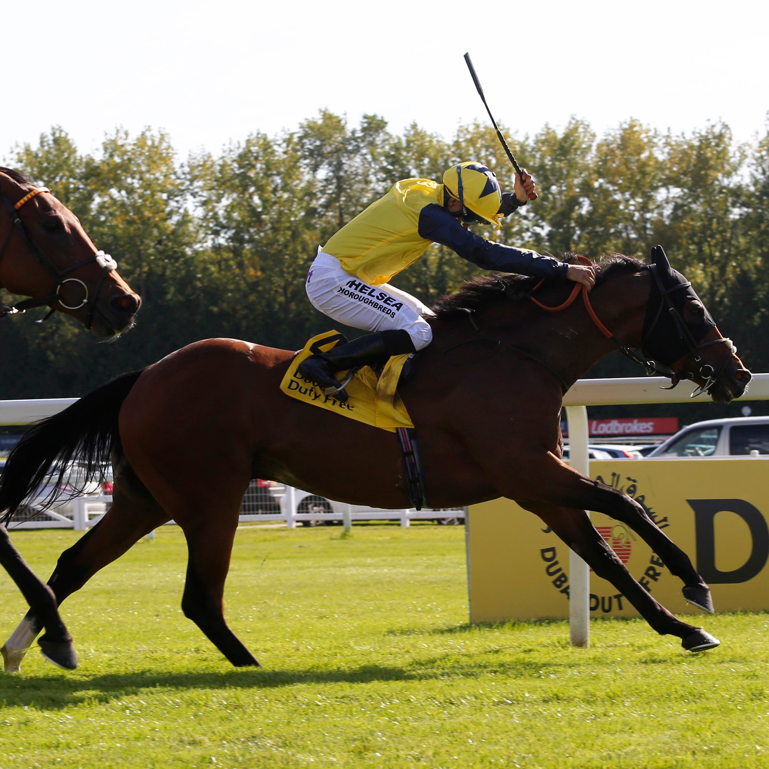 Desert Encounter (right) winning the Legacy Cup at Newbury last season