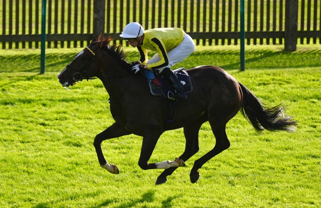 Burdett Road was a wide-margin winner 