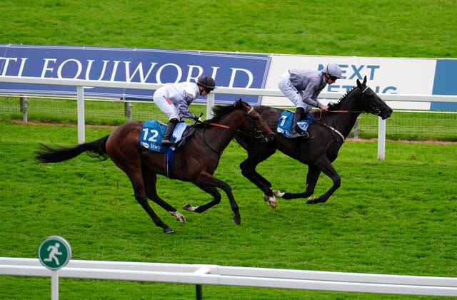 Andesite (right) struck on the Knavesmire on debut