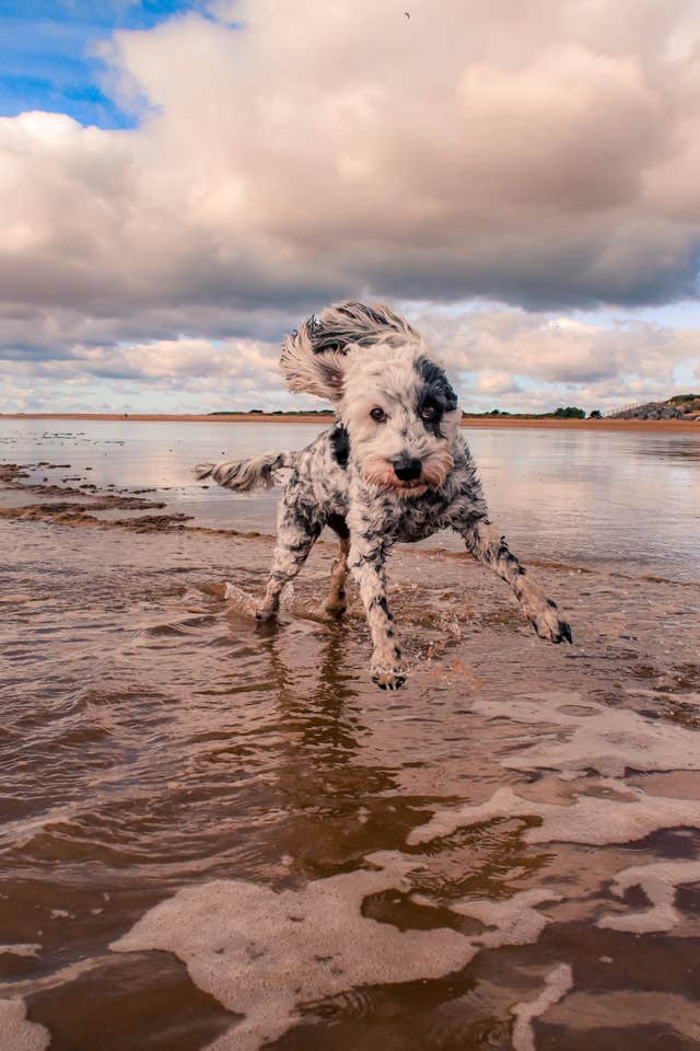 UK’s Ultimate sea view photography competition 2022