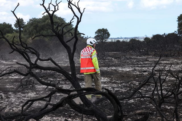 Emergency services near the scene of the wildfire at Dunwich Heath 