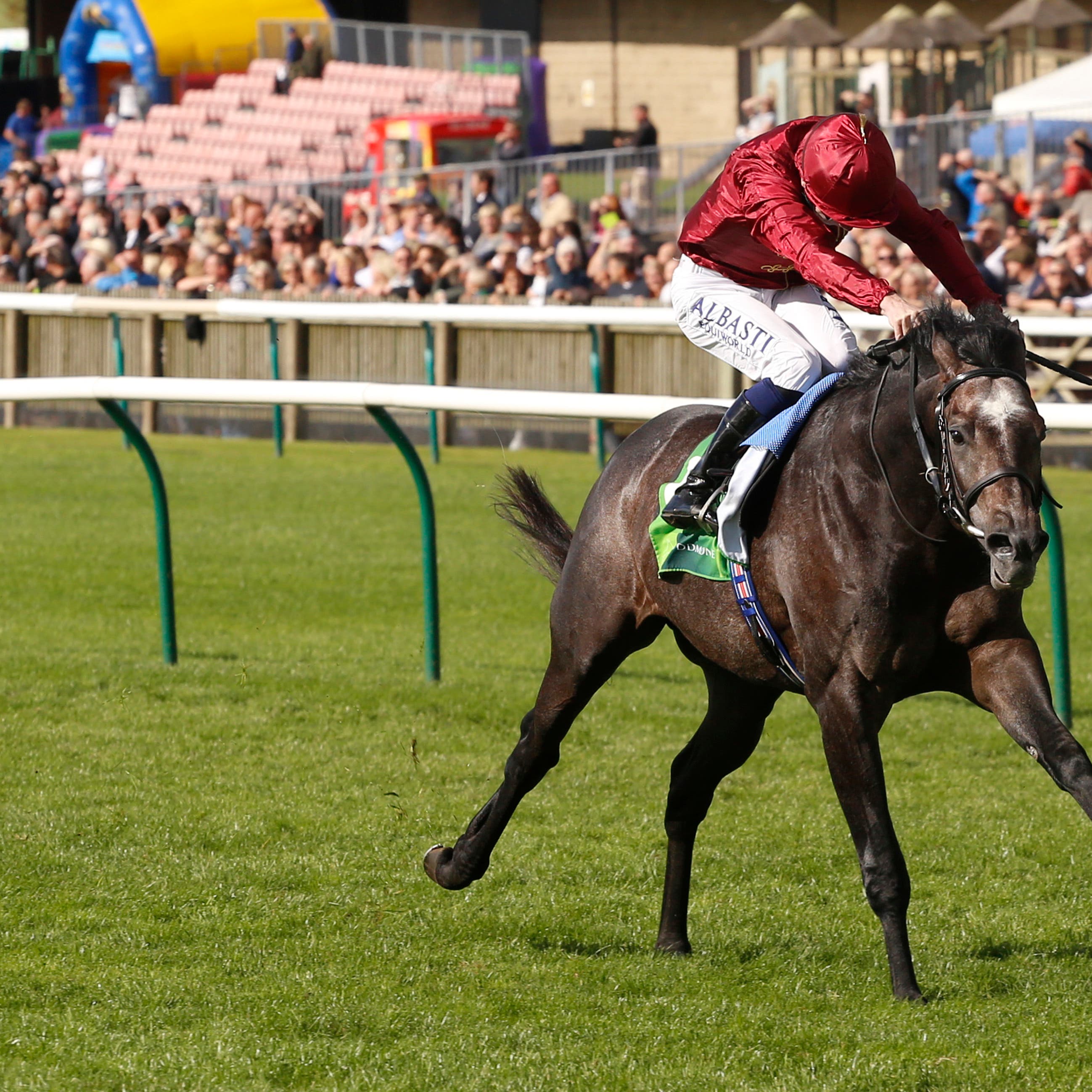 Roaring Lion is the likely favourite for the Betfred Dante Stakes at York on Thursday (Julian Herbert/PA)