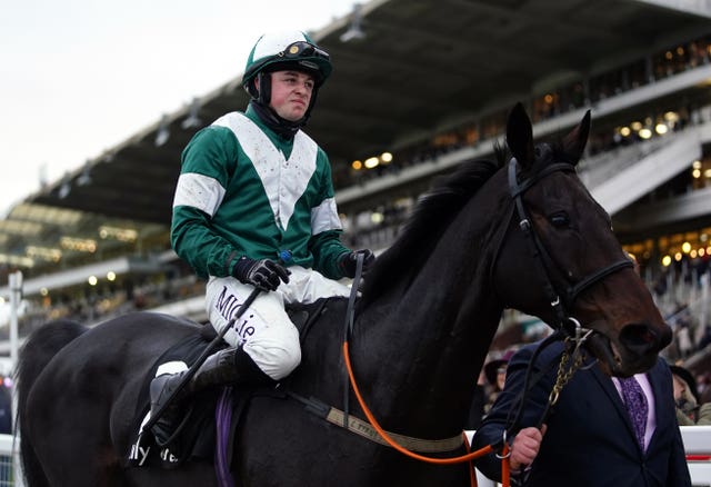 Despite winning twice at Cheltenham previously, Blazing Khal disappointed in the Stayers' Hurdle (