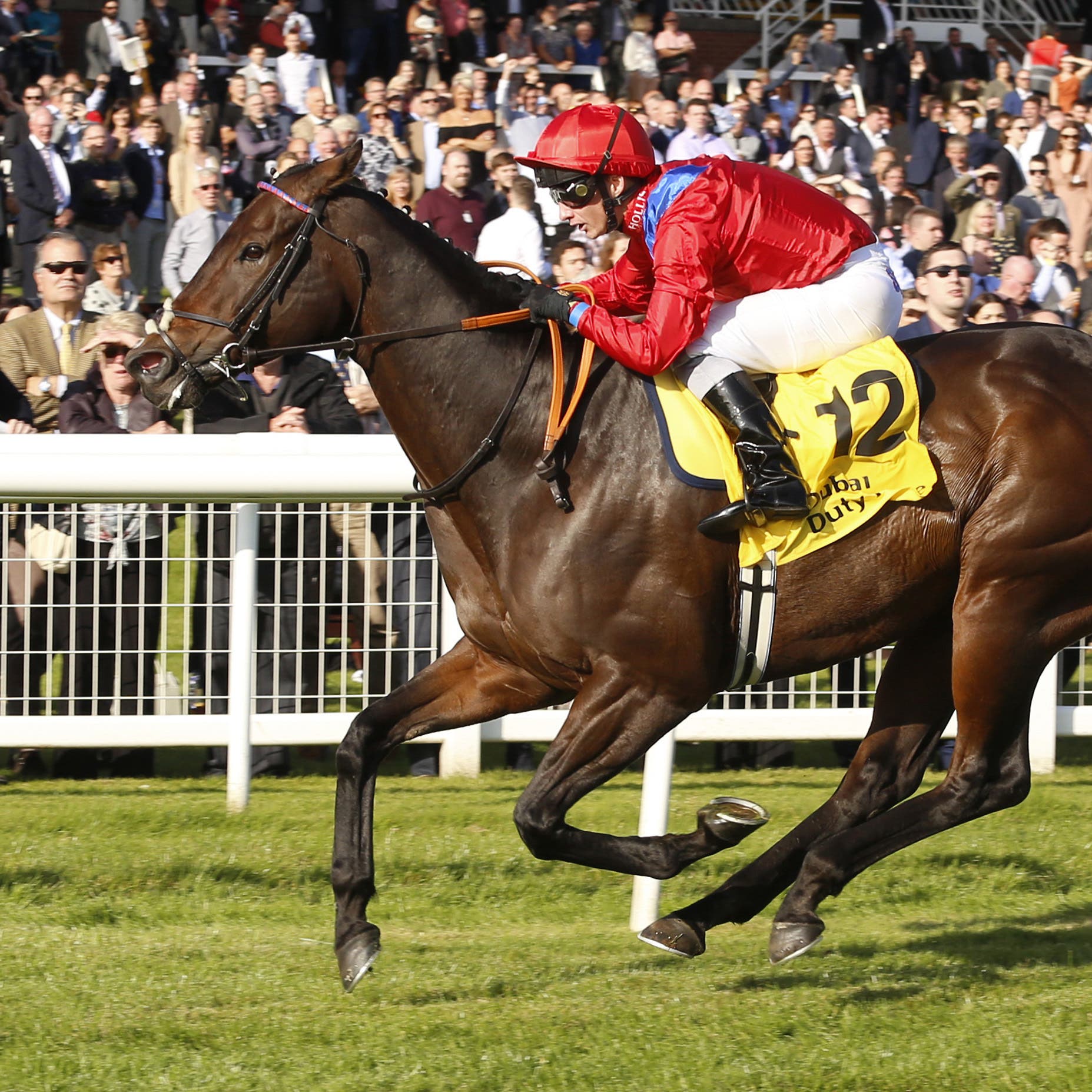 Take Cover winning at Newbury last year