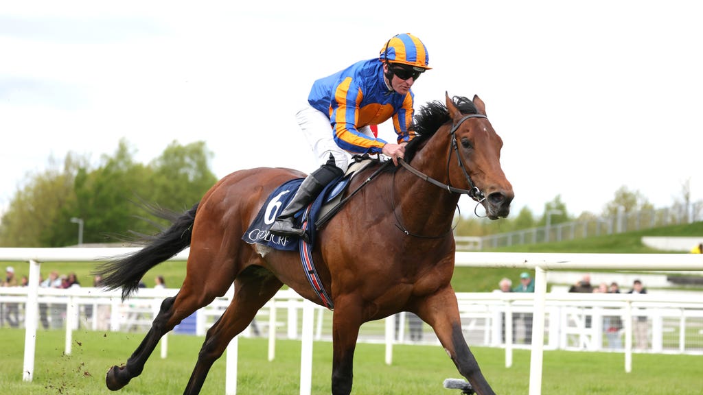 Paddington in action at the Curragh