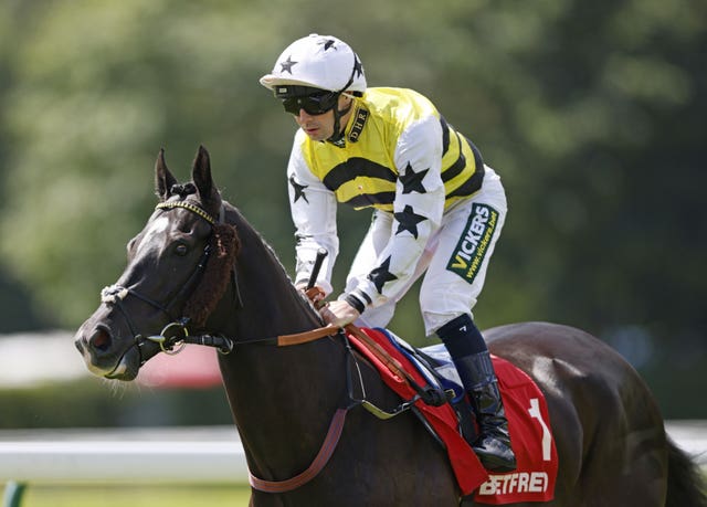 Commanche Falls heading up to the starting stalls in the Betfred Passionate About Sport Achilles Stakes at Haydock