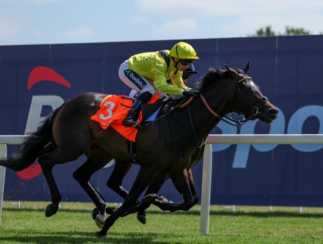 Saddadd has Royal Ascot on his agenda now 