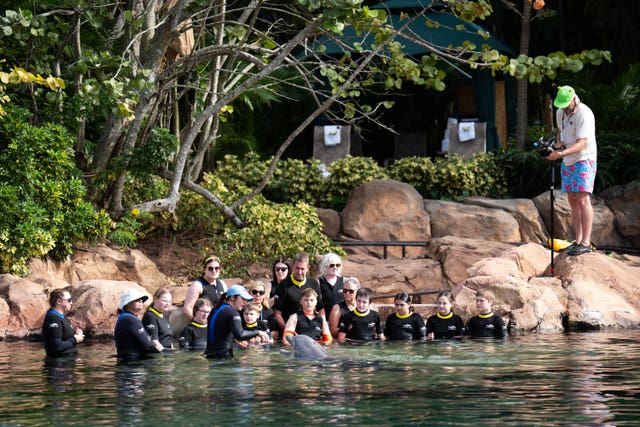 Children with a dolphin during the visit to Discovery Cove in Orlando 