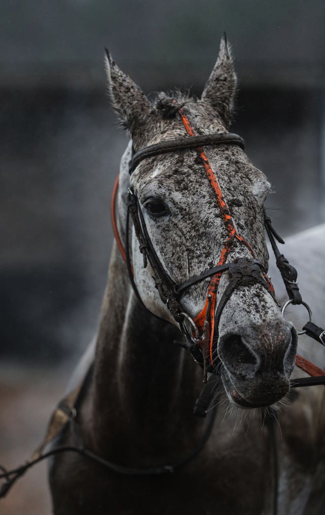 Eva’s Oskar at Exeter