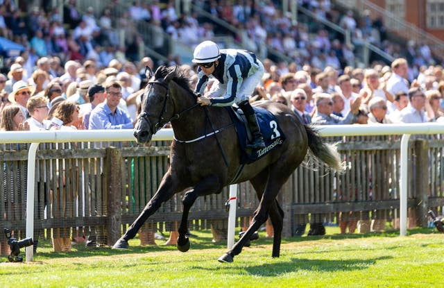 Alpha Centauri was a multiple top-class winner for Harrington 