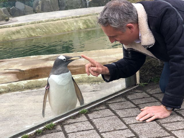 Alex Cole-Hamilton on his hands and knees interacting with a penguin at Edinburgh Zoo
