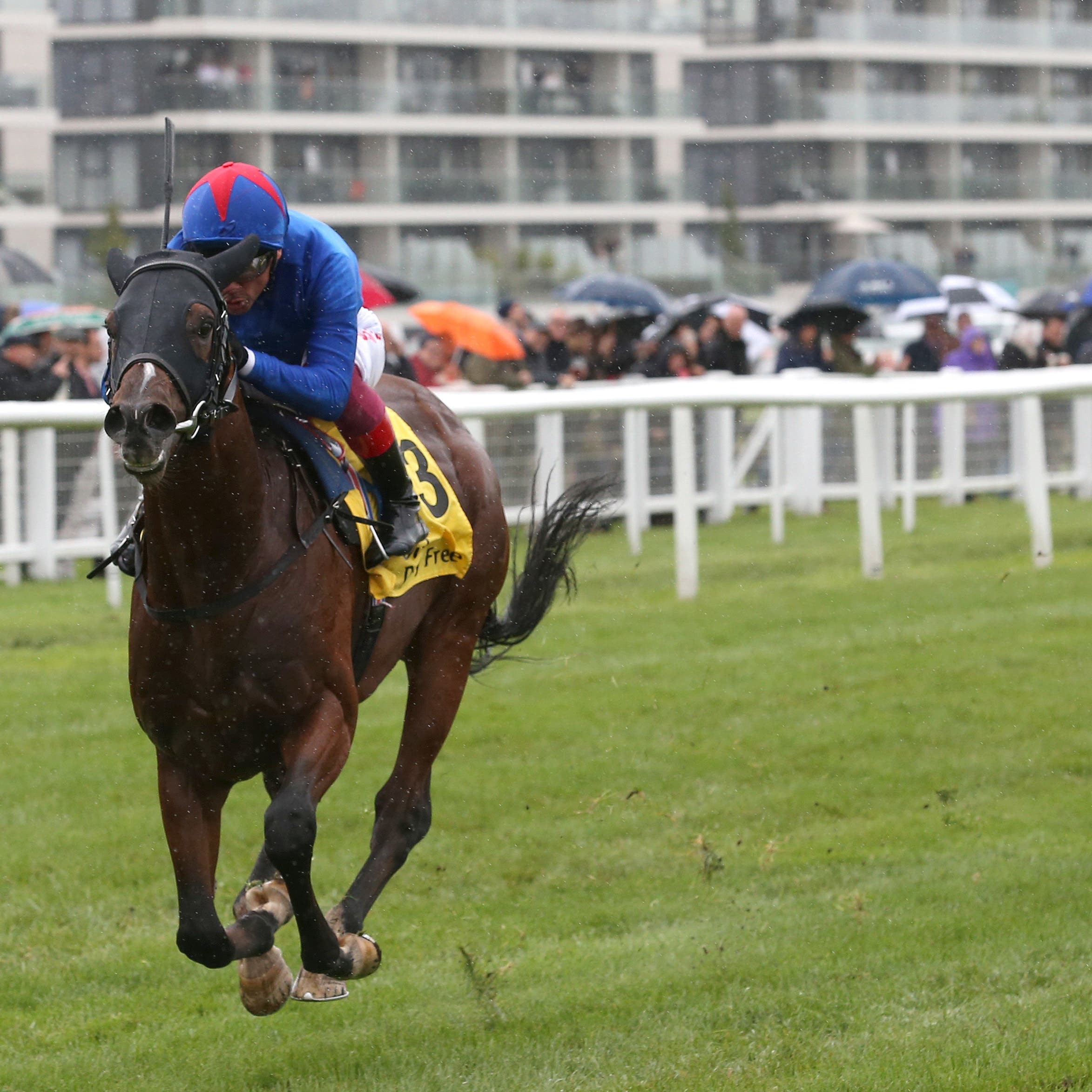 Kessaar was too strong for True Mason in the Mill Reef Stakes