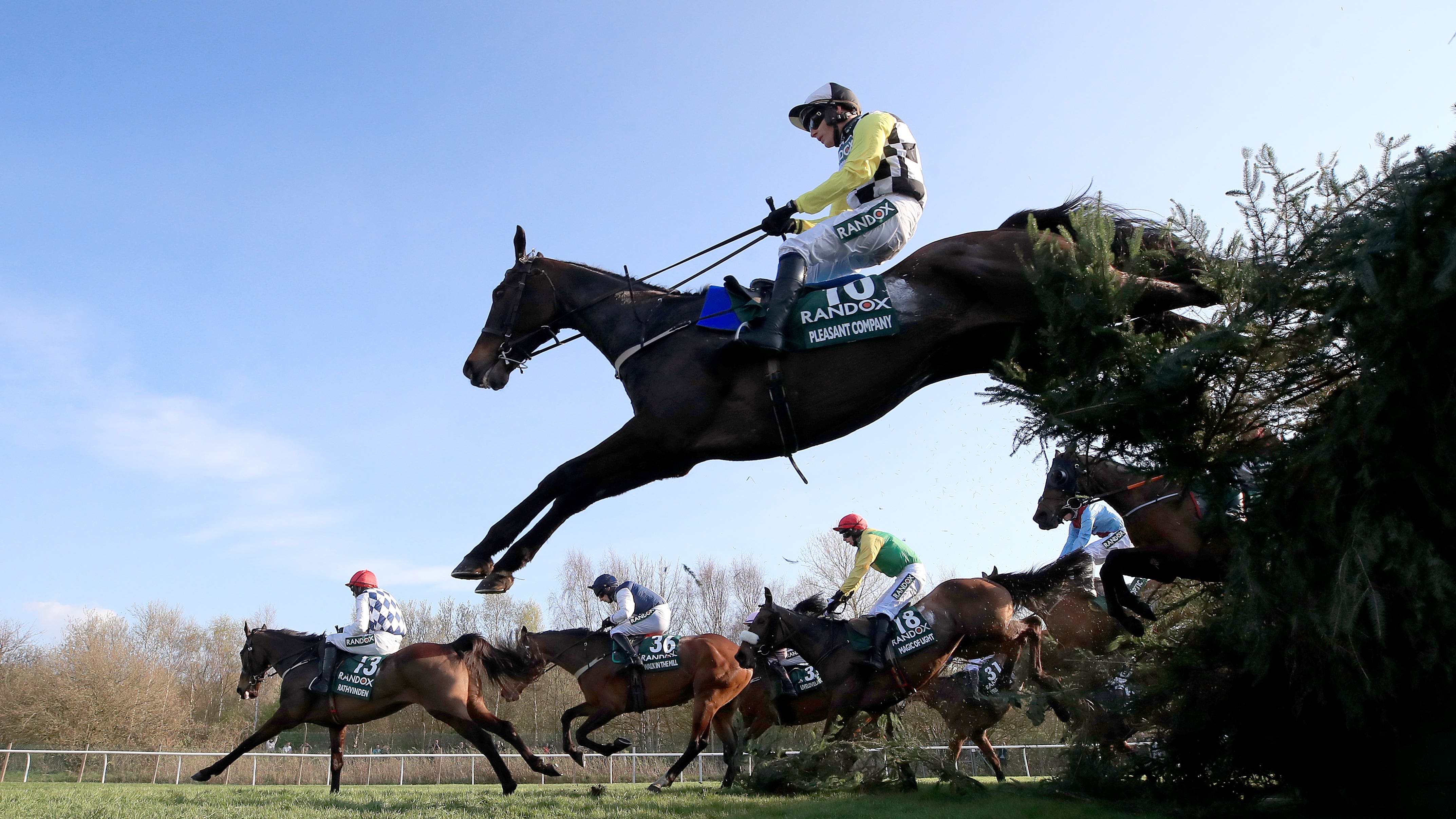 Non Runners In Grand National Non Runners In Grand National